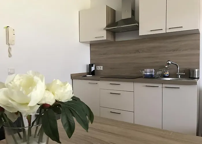 דירה Apartmaji Manita מורבסקה טופליצה